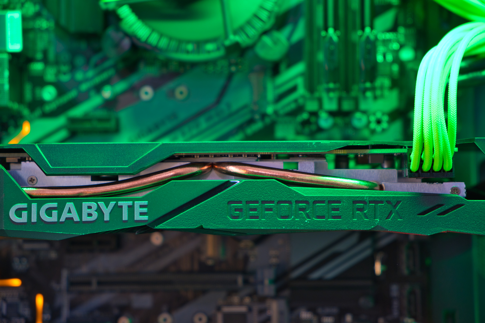 Razorback image