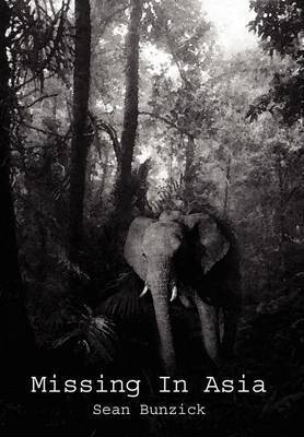 Missing in Asia by Sean Bunzick image