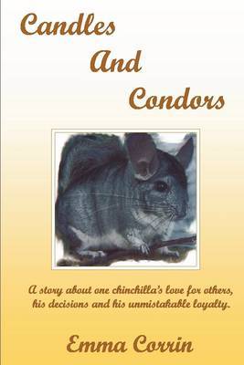 Candles and Condors by Emma Corin image