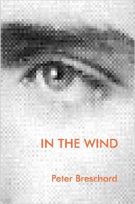 In the Wind image