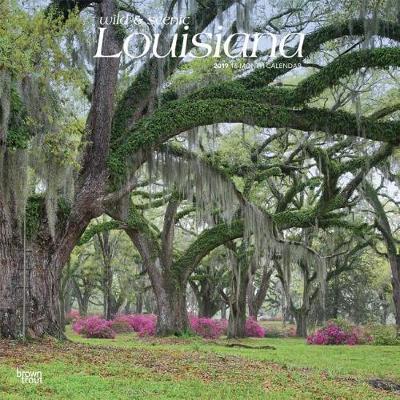 Louisiana Wild & Scenic 2019 Square by Inc Browntrout Publishers