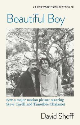 Beautiful Boy by David Sheff image