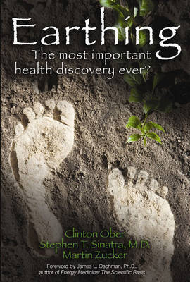 Earthing by Clinton Ober image