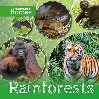 Rainforests by Holly Duhig image