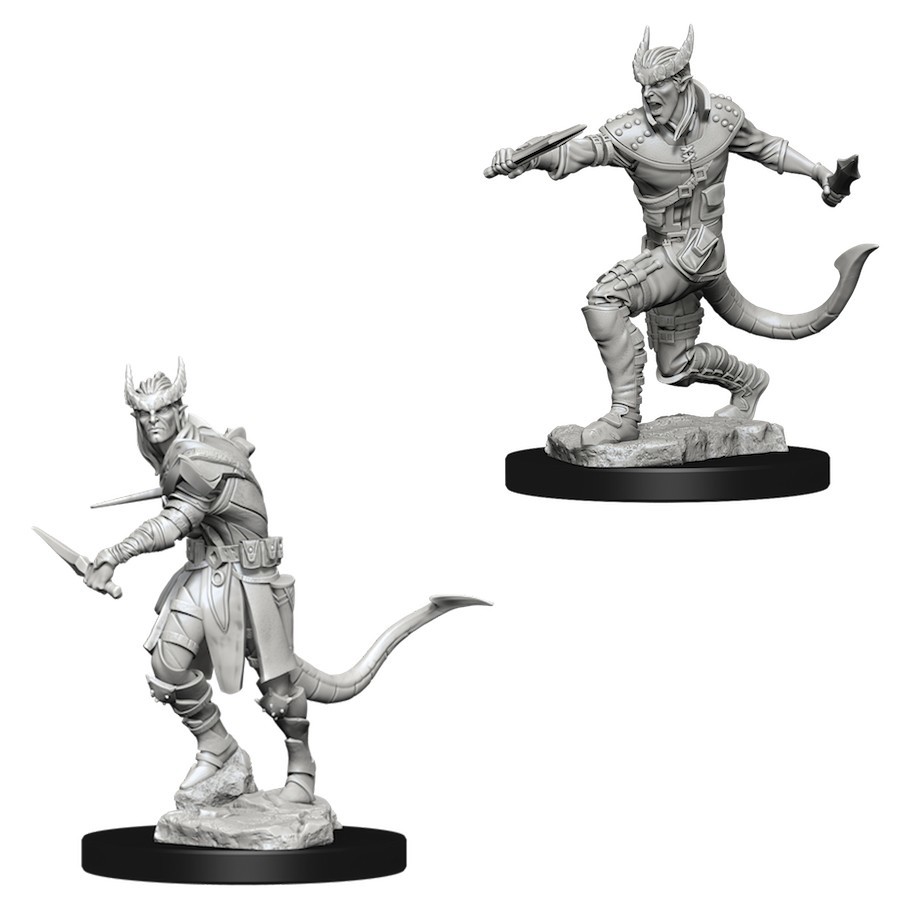 D&D Nolzur's Marvelous: Unpainted Miniatures - Tiefling Male Rogue image