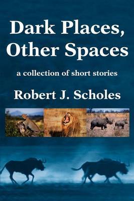 Dark Places, Other Spaces: A Collection of Short Stories by Robert J. Scholes image