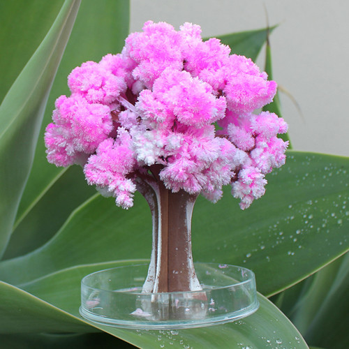 Buy My Magical Cherry Blossom Tree Craft Kit At Mighty Ape Nz