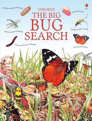 The Big Bug Search by Caroline Young image
