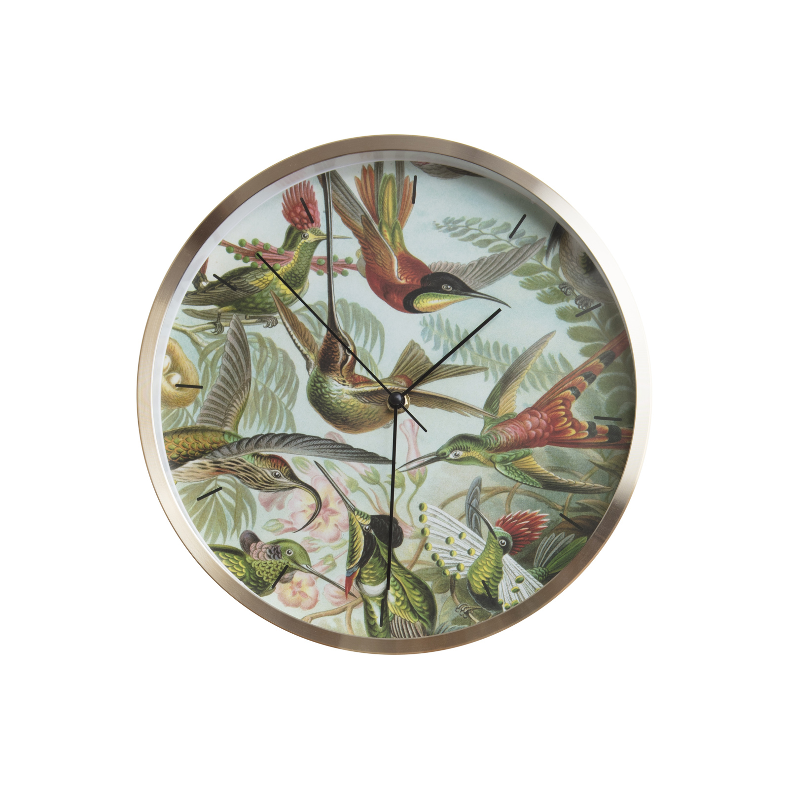 Hummingbirds Wall Clock at Mighty Ape Australia