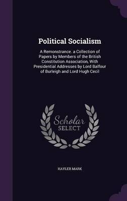 Political Socialism by Hayler Mark image
