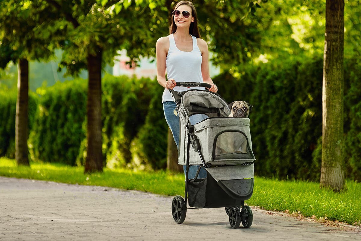 Buy Pawever Pets 3Wheeler Pet Stroller at Mighty Ape NZ