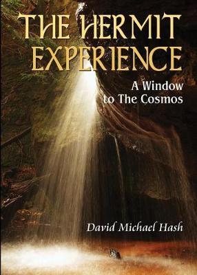 The Hermit Experience by David Michael Hash image