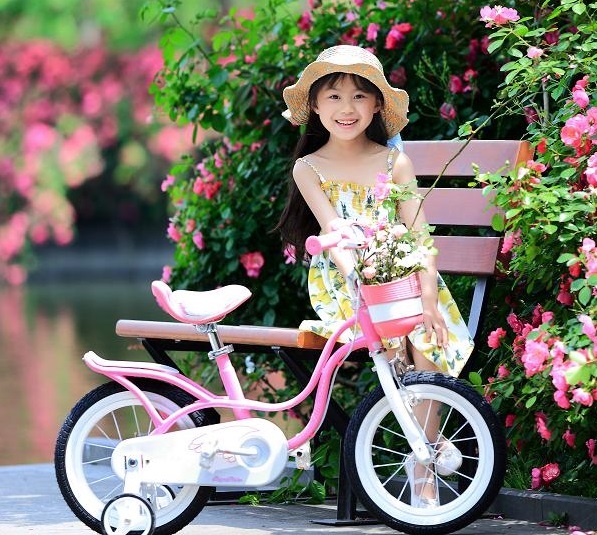 RoyalBaby: Little Swan RB-18 - 14" Bike image