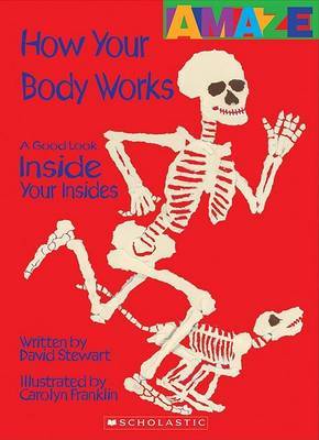 How Your Body Works: A Good Look Inside You Insides by David Stewart image