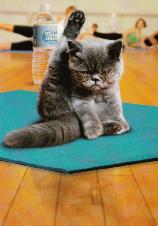 Avanti Greeting Card - Yoga Kitten image