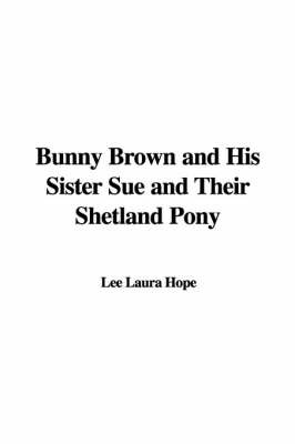 Bunny Brown and His Sister Sue and Their Shetland Pony by Laura Lee Hope image