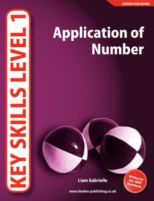 Key Skills Level 1 by Liam Gabrielle image