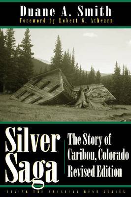 Silver Saga by Duane A Smith image