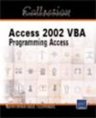 VBA Access 2002 IT Resources by Michele Amelot image