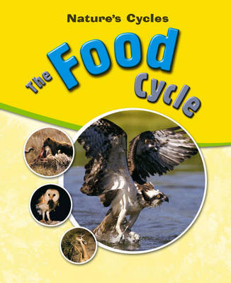 The Food Cycle on Hardback by Sally Morgan