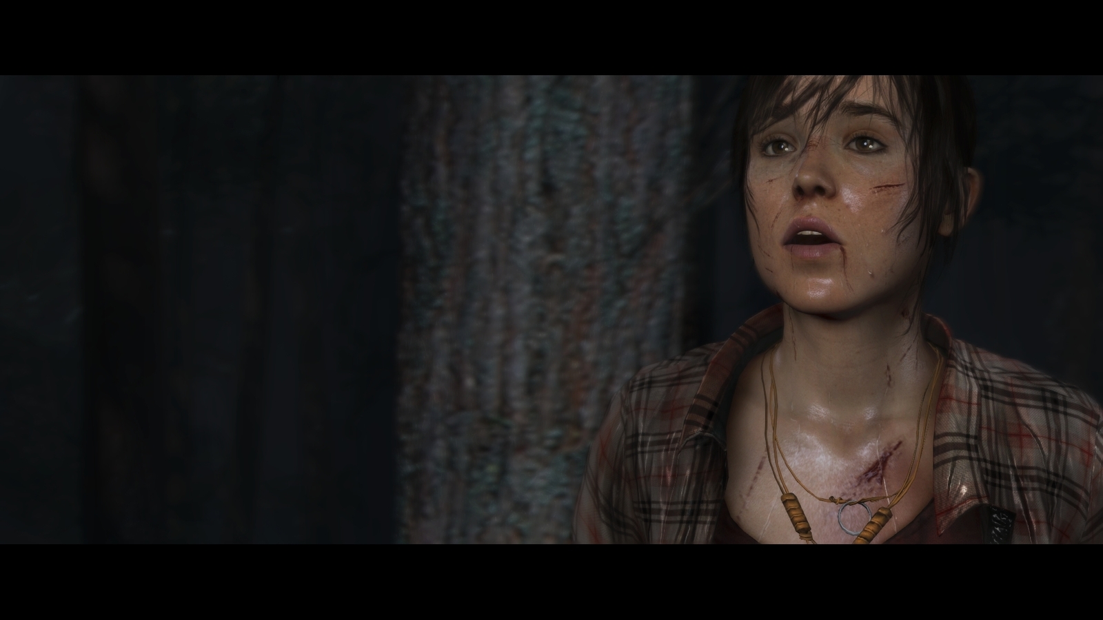 Heavy Rain and Beyond: Two Souls Collection for PS4 image