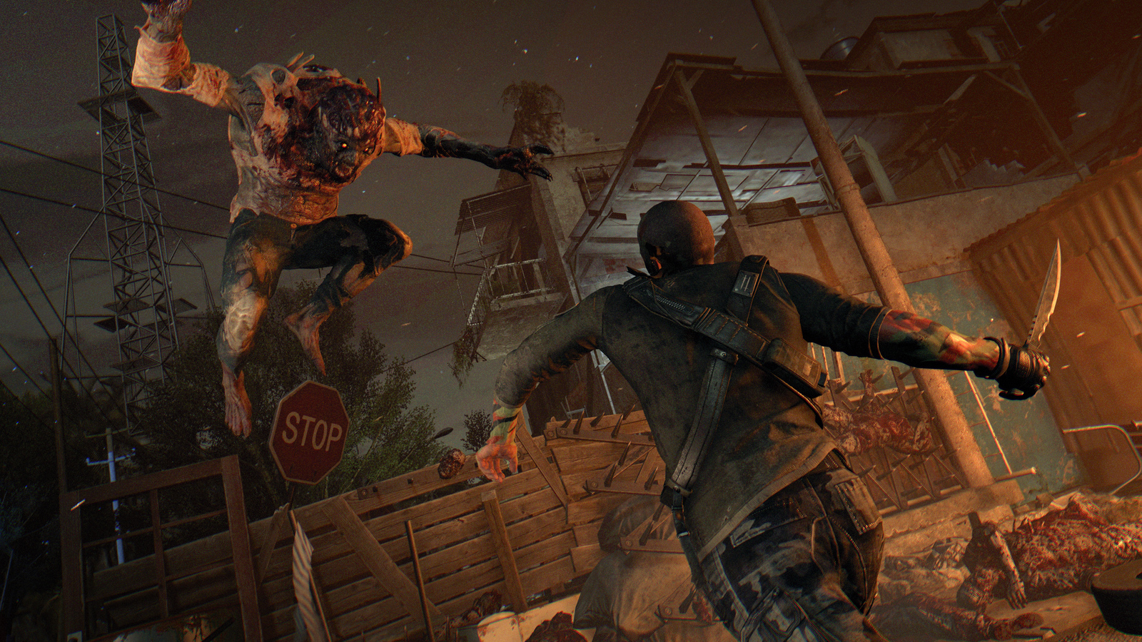 Dying Light: The Following – Enhanced Edition for PS4 image