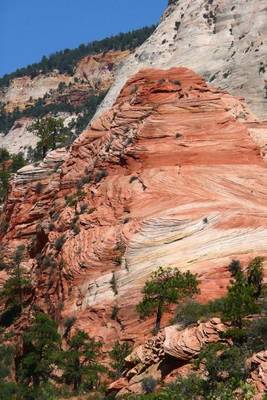 The Beautiful Painted Rocks of Zion National Park in Utah on Paperback by Unique Journal