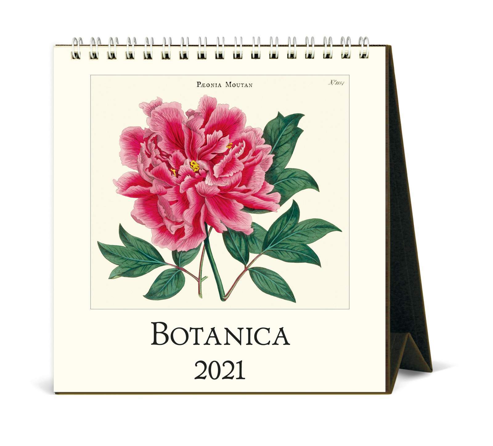 Buy Cavallini Co Vintage Botanica Desk Calendar At Mighty Ape Australia