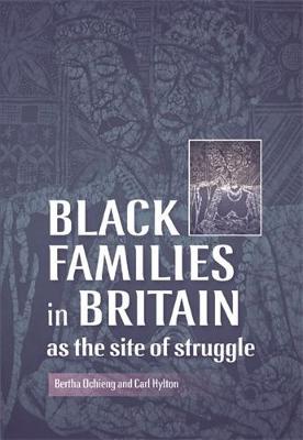 Black Families in Britain as the Site of Struggle image