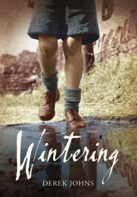 Wintering by Derek Johns image