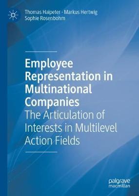 Employee Representation in Multinational Companies by Thomas Haipeter image