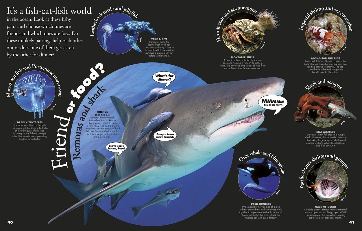 Everything You Need to Know about Sharks: And Other Creatures of the Deep on Hardback by DK Publishing