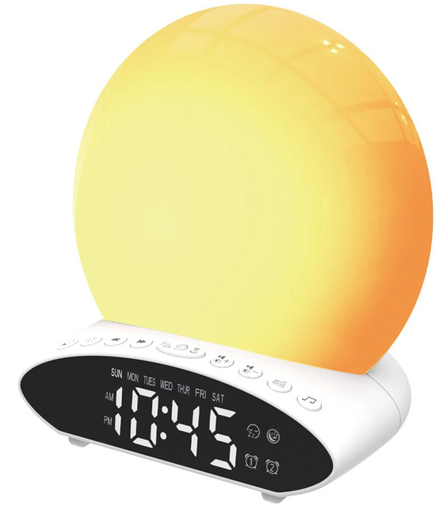 Projection Lamp at Mighty Ape NZ