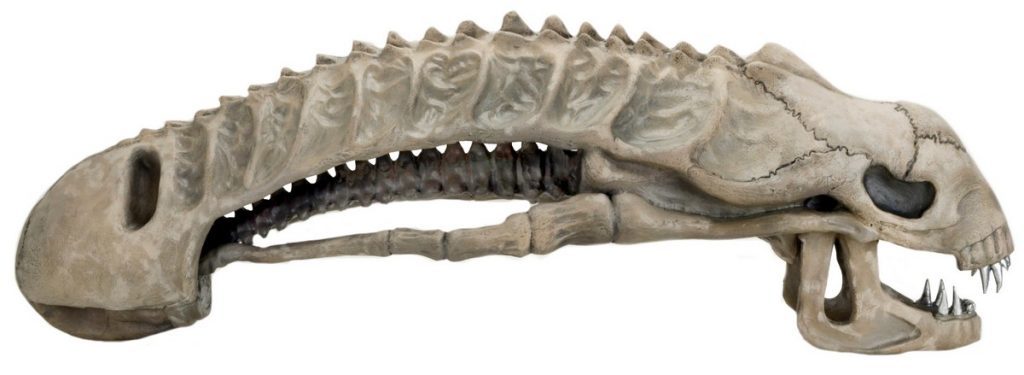 Xenomorph Skull - 36" Foam Replica image