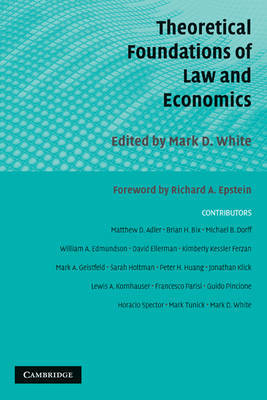 Theoretical Foundations of Law and Economics image