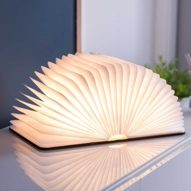 Ginko Walnut Large Smart Led Light Book at Mighty Ape NZ