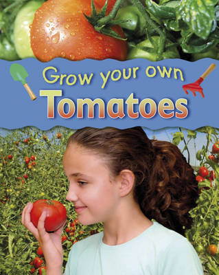 Tomatoes by Helen Lanz image