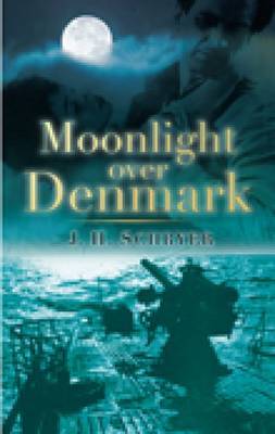 Moonlight over Denmark by J H Schryer image