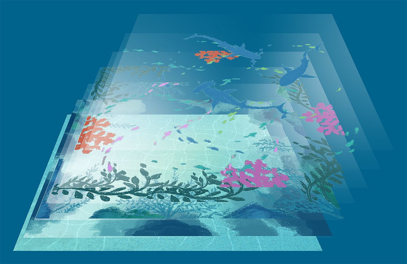 Dive Board Game at Mighty Ape NZ