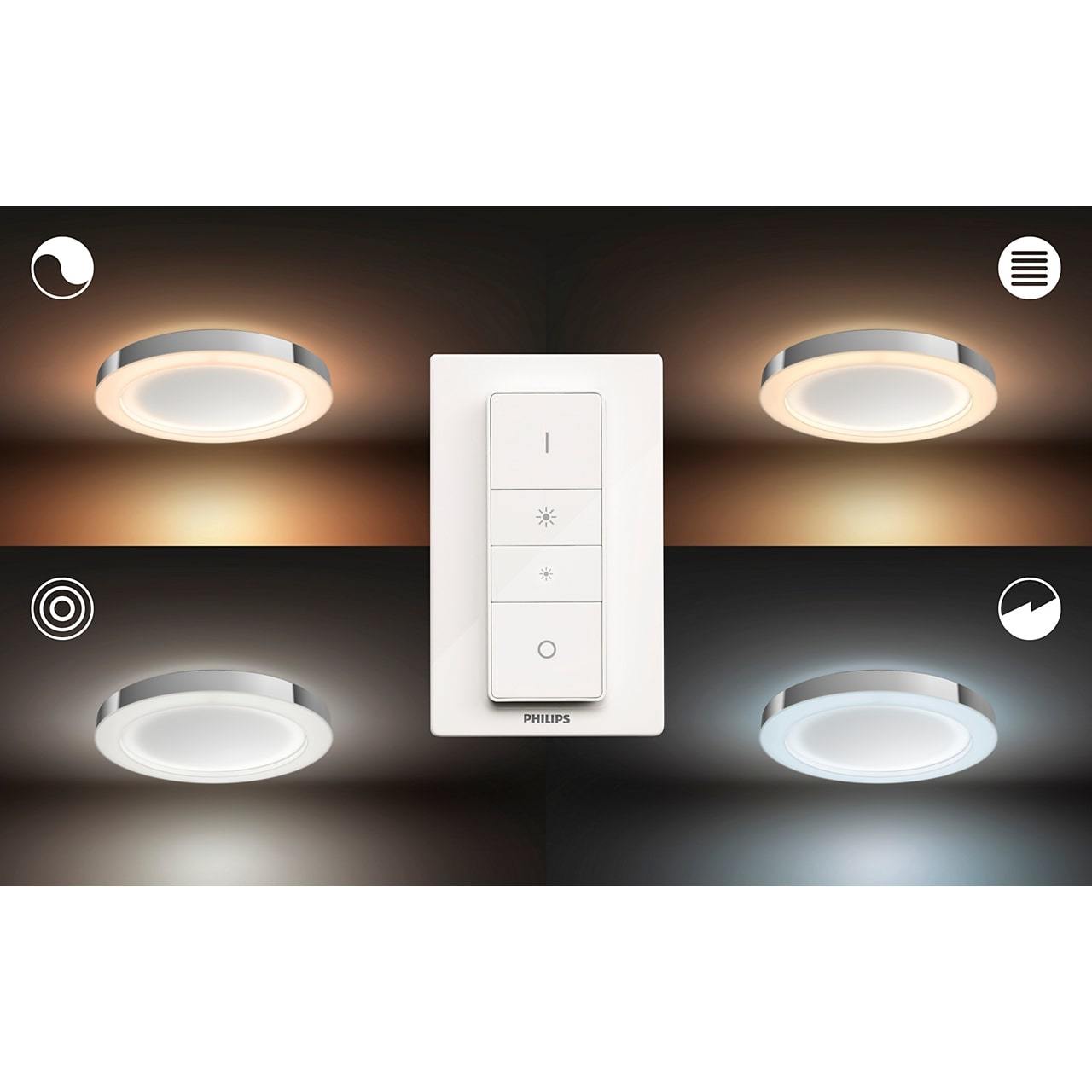 Philips Hue Bathroom Adore Ceiling Light