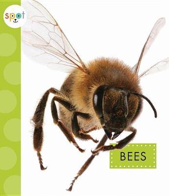 Bees by Nessa Black image