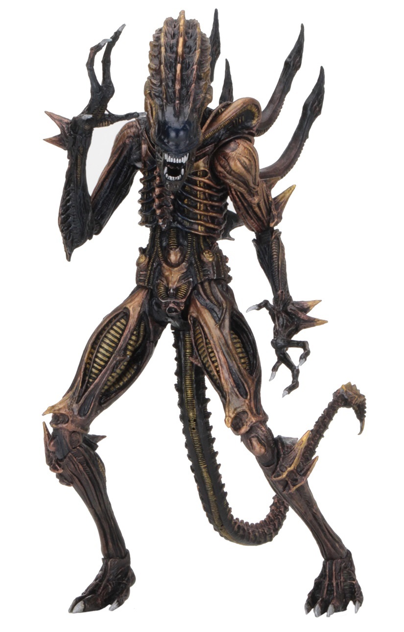 Alien: Scorpion Xenomorph - 9" Articulated Figure image