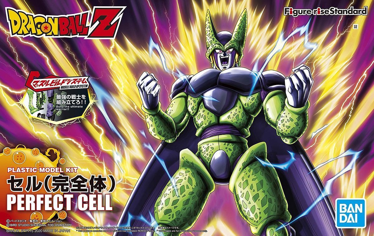 perfect cell figure rise