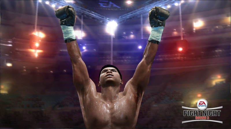 Fight Night Round 3 for PS3 image