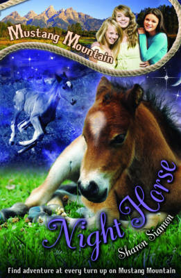 Night Horse by Sharon Siamon image