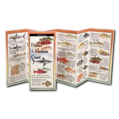 Fishes of the Alaskan Coast by Val Kells image