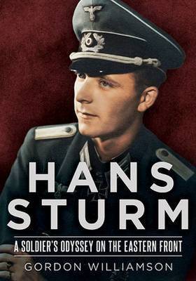 Hans Sturm by Gordon Williamson image