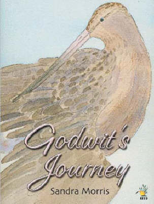 Godwit's Journey by Sandra Morris image