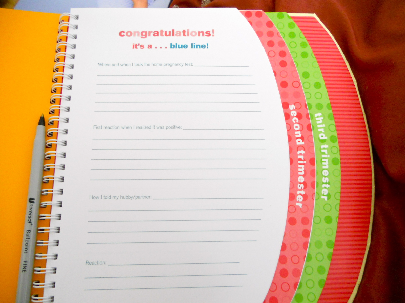 The Belly Book: A Nine-month Journal for You and Your Growing Belly image