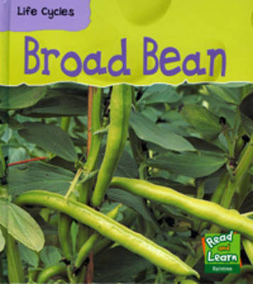 Broad Bean by Louise Spilsbury image